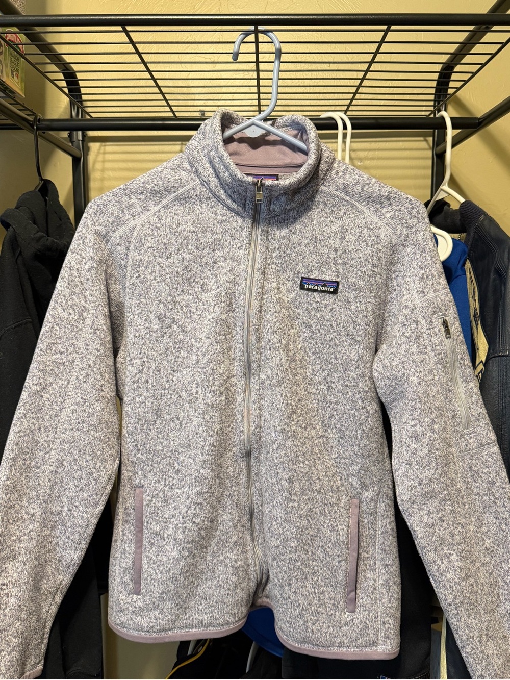 Patagonia Heather Light Gray/purple Full-Zip Teddy Fleece Jacket
